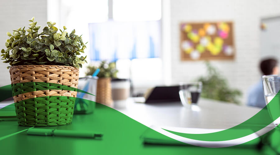 Eco-Friendly Cleaning